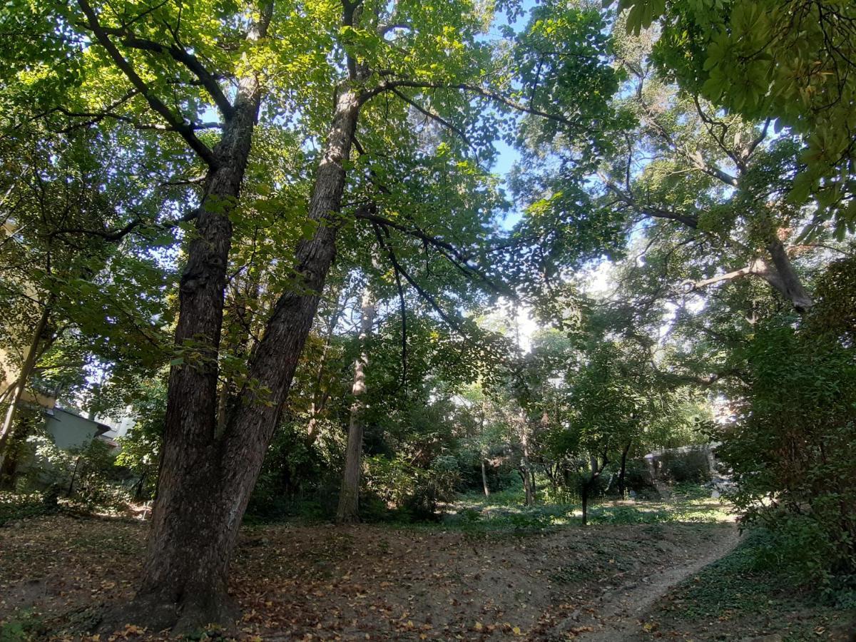 דירה Hill *